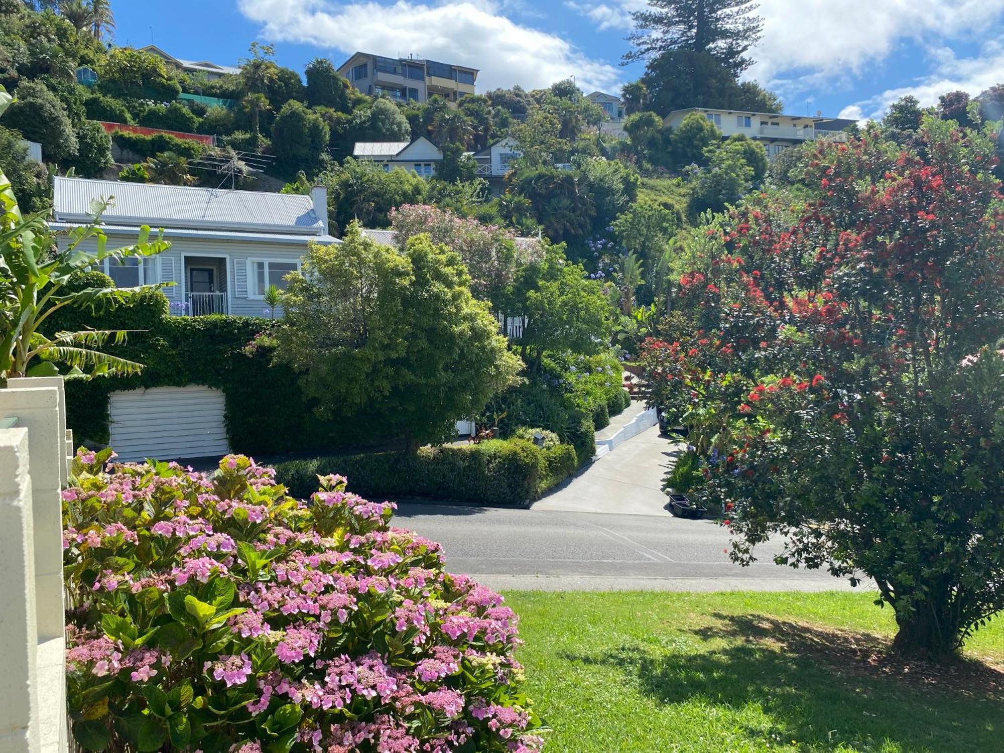 Maison Blue - Chic Garden Apartment Napier Exterior photo